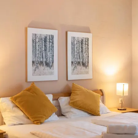 Sonneck - Seefeld Гостьовий будинок Зефельд-ін-Тіроль